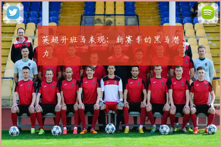 英超升班马表现:新赛季的黑马潜力